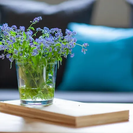 Apartament Nad Kryniczanką *