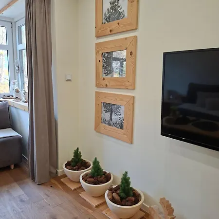 Nad Kryniczanką Krynica-Zdrój
