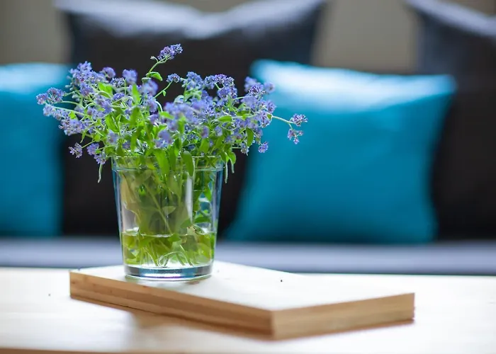 Lejlighed Nad Kryniczanka *